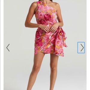 Showpo Brailey dress in Pink Floral. New